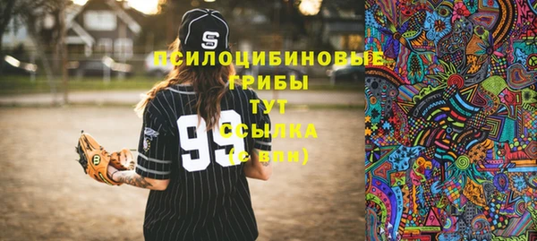apvp Няндома