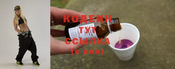 apvp Няндома