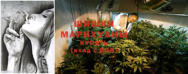 apvp Няндома