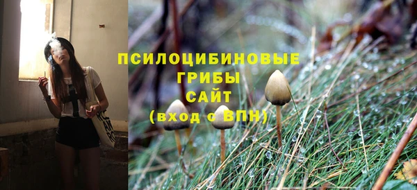 apvp Няндома
