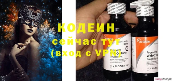 apvp Няндома