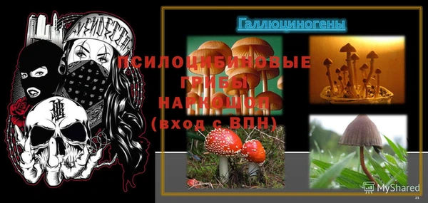 соль ск Нязепетровск