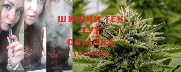 соль ск Нязепетровск