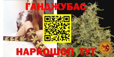 эйфоретик Гай