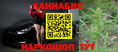 эйфоретик Гай