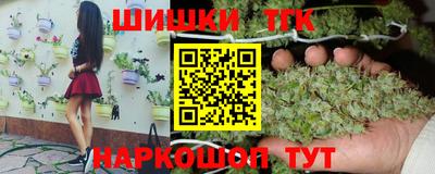 эйфоретик Гай