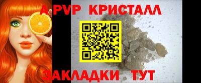 эйфоретик Гай