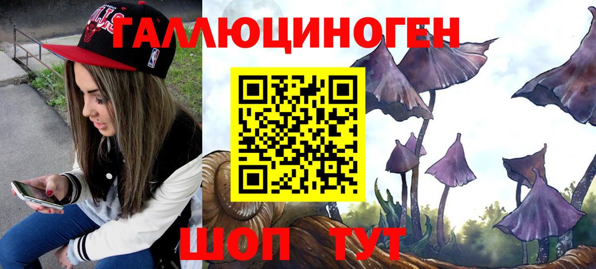 Псилоцибиновые грибы мицелий  Галлюциногенные грибы MAGIC MUSHROOMS  как найти   Кунгур  Вход с VPN 